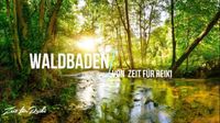 Meditation-Waldbaden - YouTube